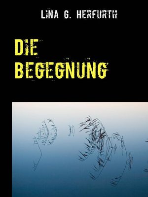 cover image of Die Begegnung